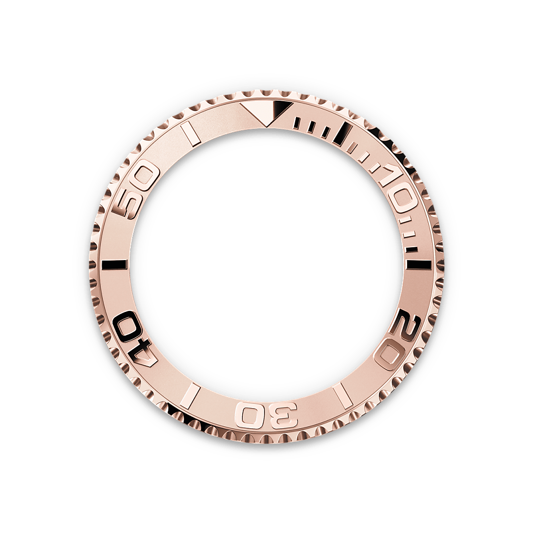 Luneta giratória bidirecional