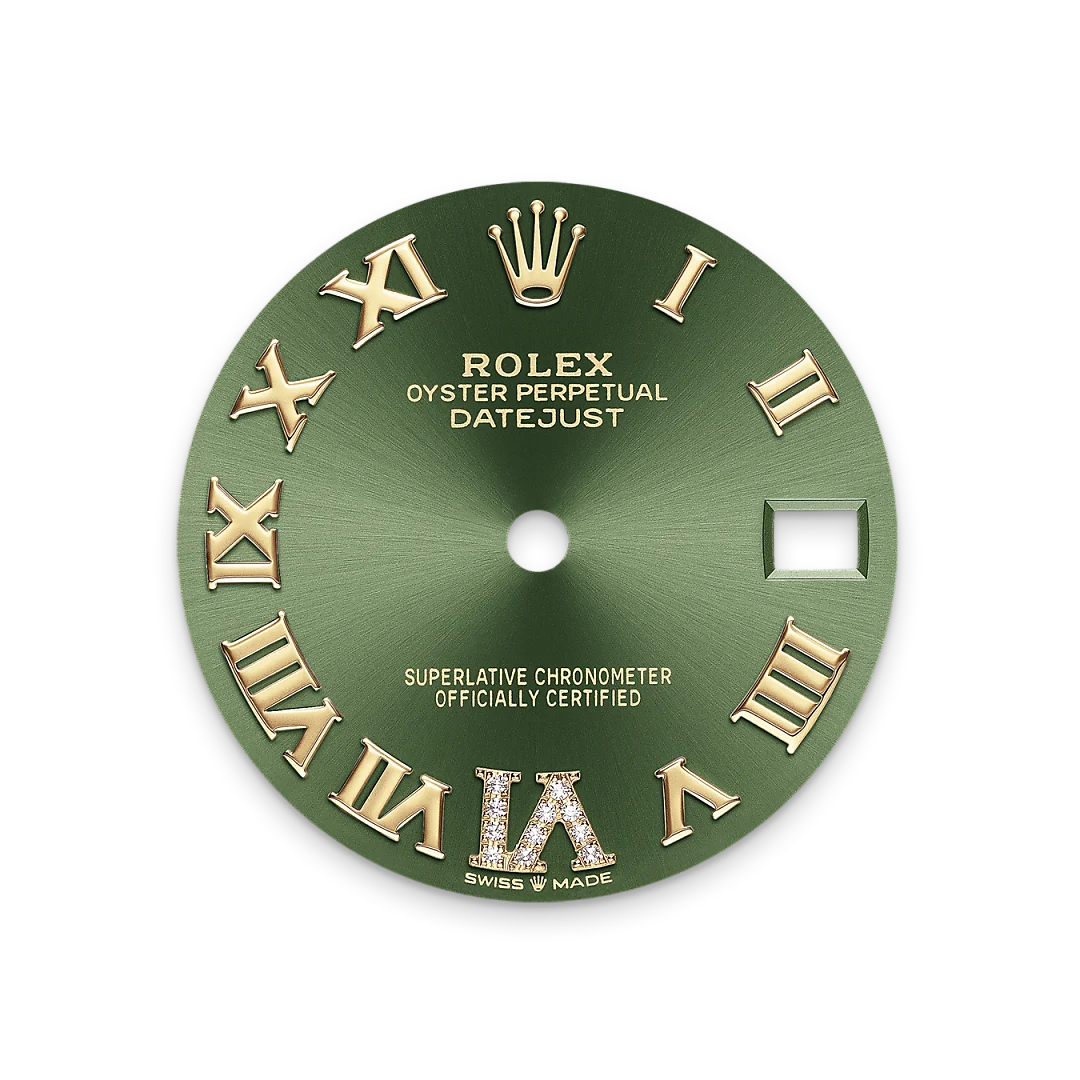 Mostrador verde-oliva