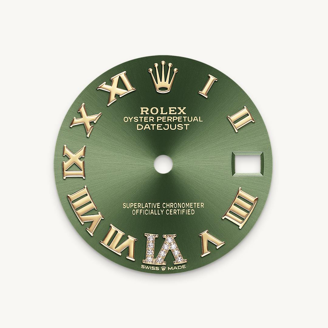 Mostrador verde-oliva